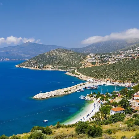 Bambu * Kalkan